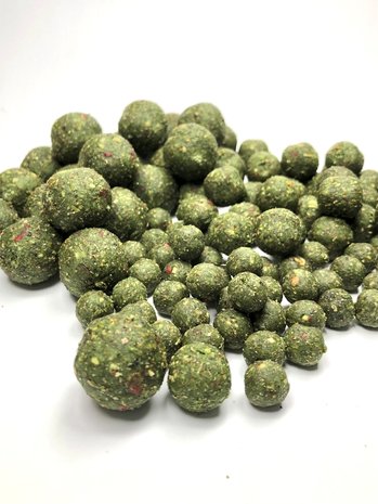 BasBoilies Mad Riot
